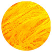 323.64 jaune