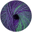 359.54 violett-gr�n