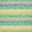 496.10 vert-jaune-bleu-miel