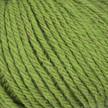 553.95 olive
